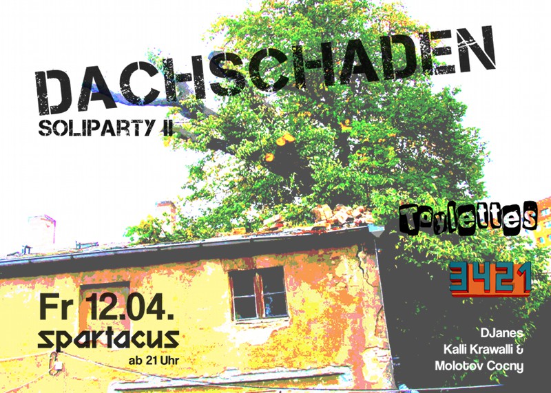 dachschaden_party_v2